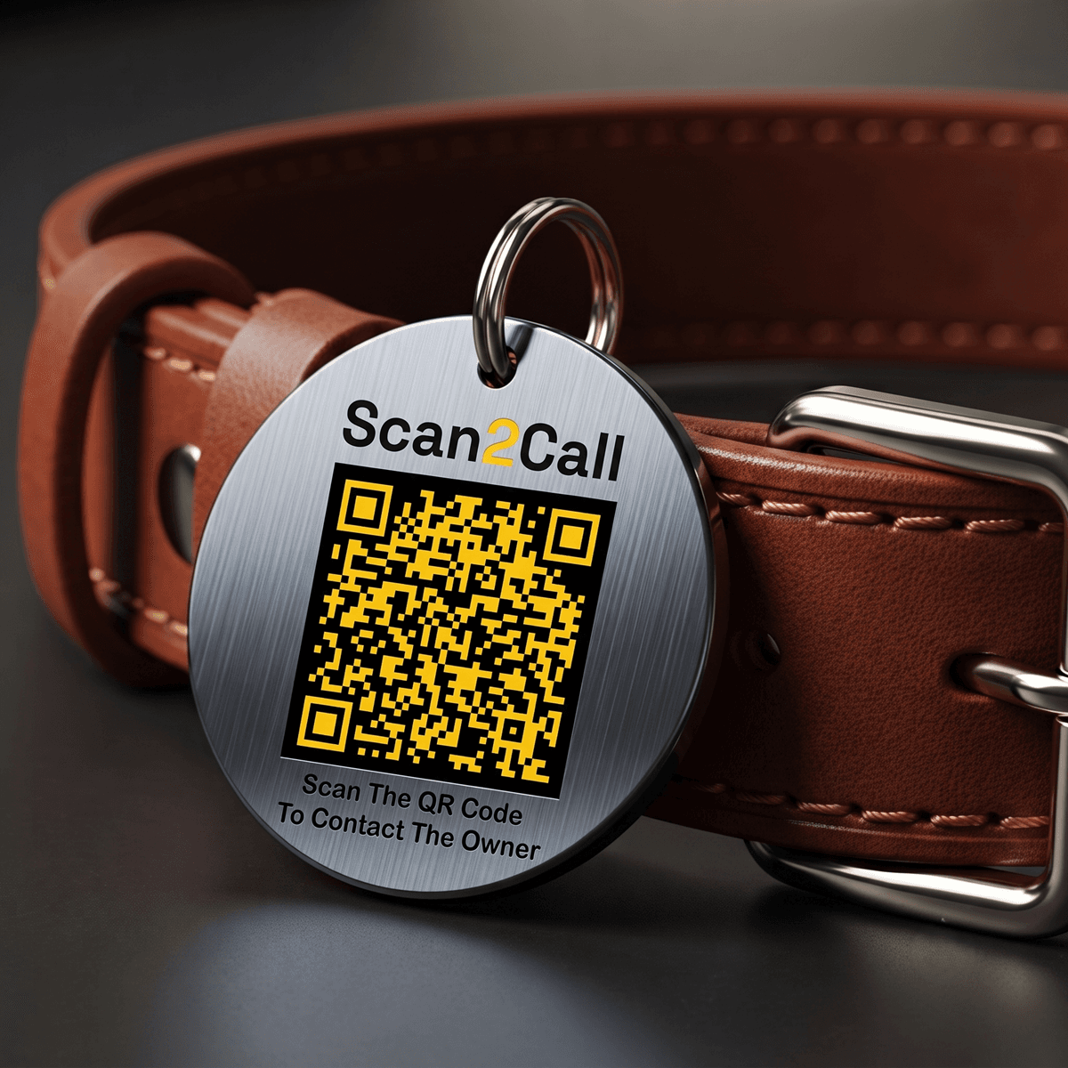 Pet Collar Tag